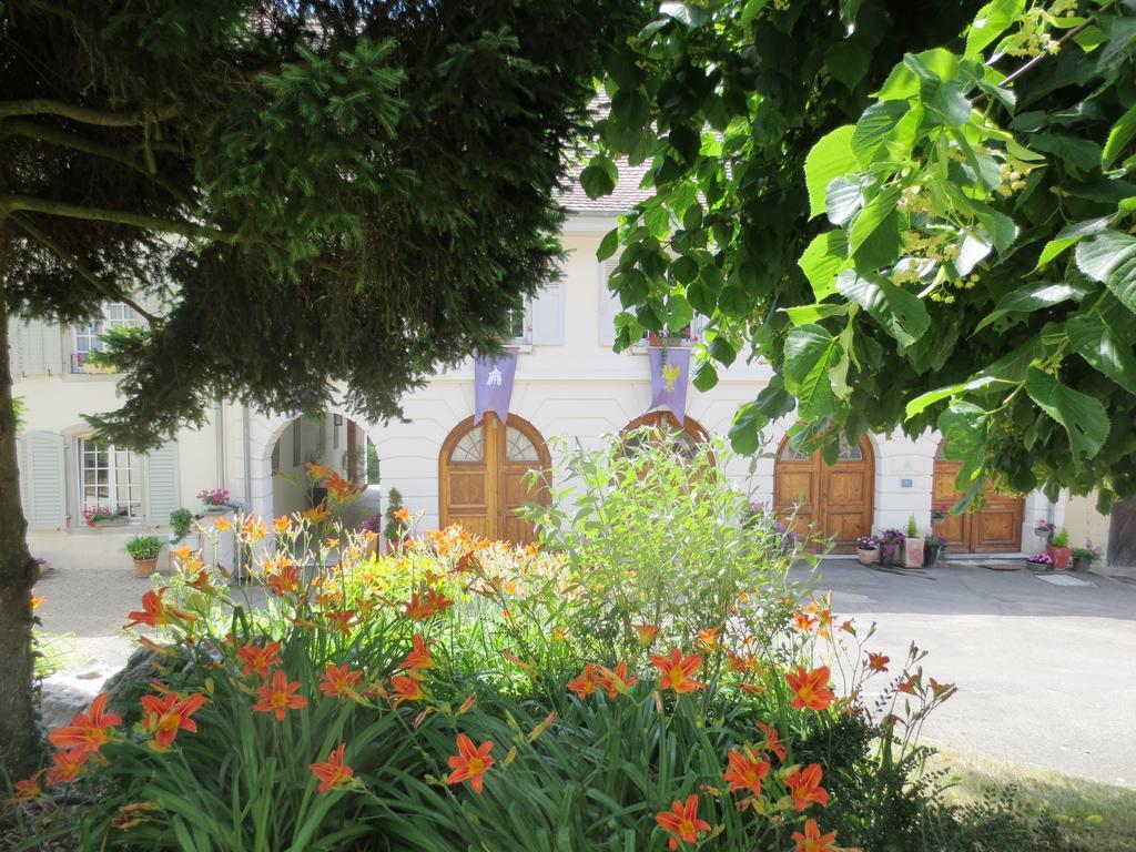 La Maison Des Fontaines D'Alsace Ferrette Phòng bức ảnh