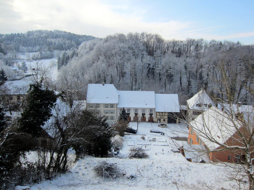 La Maison Des Fontaines D'Alsace Ferrette Ngoại thất bức ảnh