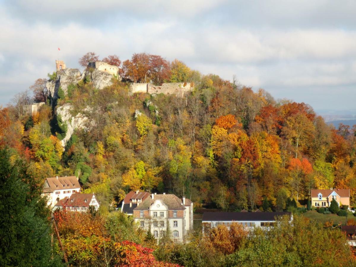 La Maison Des Fontaines D'Alsace Ferrette Ngoại thất bức ảnh